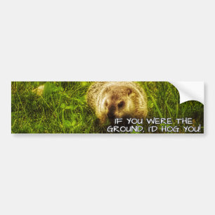 Als jij de grond was, zou ik je bumpersticker inpi