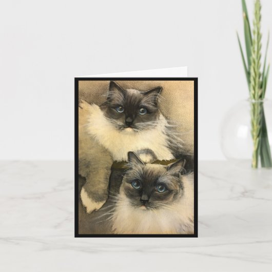 Als katten kunnen praten kaart (Voorkant)