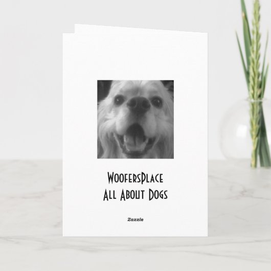 ALS ONZE DRUKTE KAART (Achterkant)