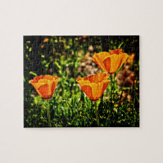  als papaver legpuzzel