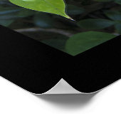 Als u een tuin en een bibliotheek hebt, hebt u pos poster (Hoek)