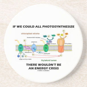 Als we allemaal fotosynthetisch zouden kunnen zijn zandsteen onderzetter