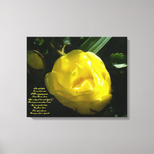 Als zacht licht op een gele roos canvas afdruk