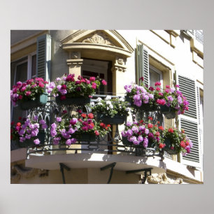 Alsace, Frankrijk 2 Poster