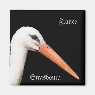 Alsace, Straatsburg Magneet