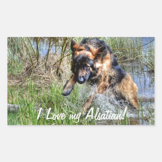 Alsatian Plush German Shepherd 5 Dog lover Gift Rechthoekige Sticker (Voorkant)