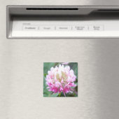 Alsike Clover Blossom 1 Magnet (In Situ (Lave-vaisselle))