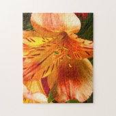 Alstroemeria dans Orange Jigsaw Puzzle (Vertical)