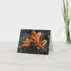 Alstroemeria Flowers Kaart