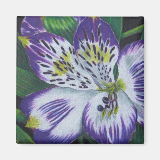 Alstroemeria Magneet (Voorkant)