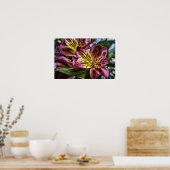 Alstroemeria Peruvien Lily poster imprimé (Cuisine)