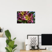 Alstroemeria Peruvien Lily poster imprimé (Bureau à domicile)