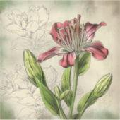 Alstromeria bloemen sticker (Voorkant)