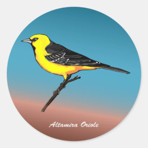 Altamira Oriole rev.2.0 Buttonnen & stickers