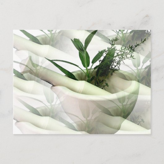 Alternatief Briefkaart (Voorkant)