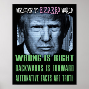 Alternatieve Feiten Zijn Waarheid - Anti President Poster