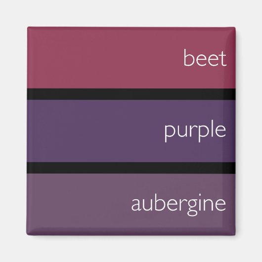 Alternatieve magneet: kleurstalen magneet (Voorkant)