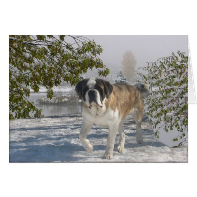 Altijd begrotkaart (Voorkant Horizontaal)