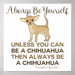 Altijd een Chihuahua zijn Poster