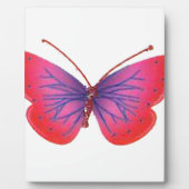 Altijd Forever Young Fotoplaat (Voorkant)