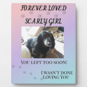 Altijd Geliefde Gradiënt Huisdier Herdenkingstribu Fotoplaat (Voorkant)