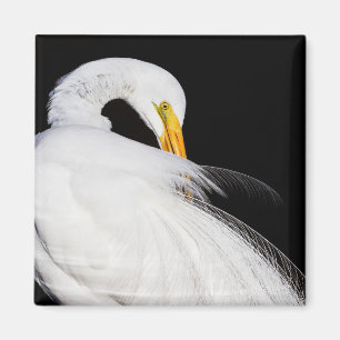 Altijd groeten magneet