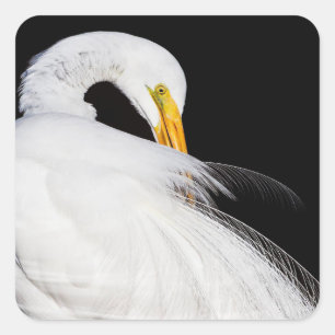 Altijd hebzucht vierkante sticker