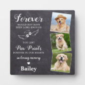 Altijd in liefdevolle herinnering Aangepaste huisd Fotoplaat (Voorkant)