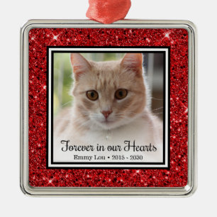 Altijd In Onze Hartjes Kat Metalen Ornament