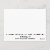 ALTIJD MOOI #6 BRIEFKAART (Achterkant)