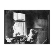 Altijd naar de zon kijken: Whitman bij Mickle St.