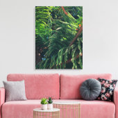 Altijdgroene naaldboom conifeer canvas afdruk (Insitu (Woonkamer))