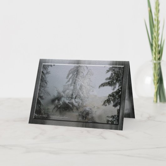 Altijdgroene Vakantie Feestdagen Kaart (Voorkant)