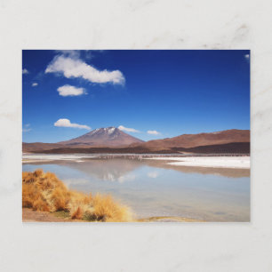 Altiplano-landschap met vulkaan in Bolivia Briefkaart