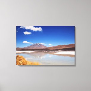 Altiplano-landschap met vulkaan in Bolivia Canvas Afdruk