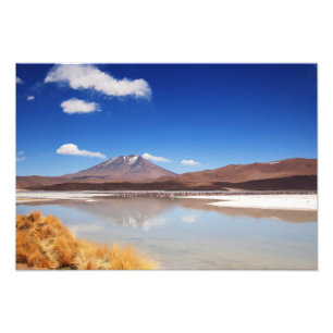Altiplano-landschap met vulkaan in Bolivia Foto Afdruk