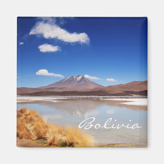 Altiplano-landschap met vulkaan in Bolivia Magneet (Voorkant)