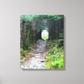 Alum Cave Trail op Mt. LeConte Canvas Afdruk (Voorkant)