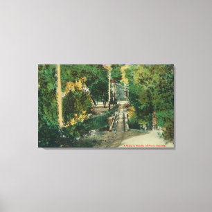 Alum Rock Park Picnic Grounds Vista Uitzicht Canvas Afdruk