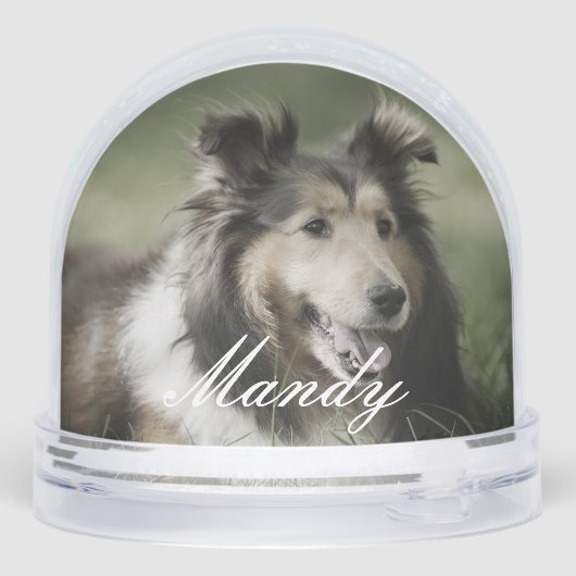 Always In Our Hearts Pet Photo Memorial Keepsake (Arrière)