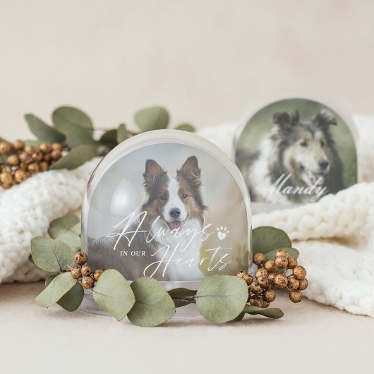 Always In Our Hearts Pet Photo Memorial Keepsake Sneeuwbol