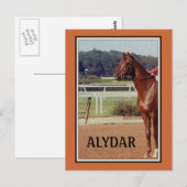 Alydar Belmont Stakes Post Parade 1978 Briefkaart (Voorkant / Achterkant)