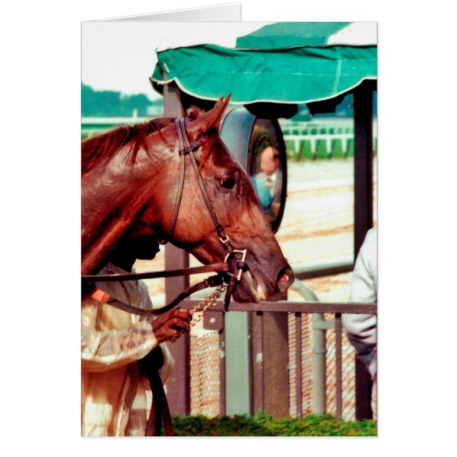 Alydar Thoroughbred 1979 (Voorkant)