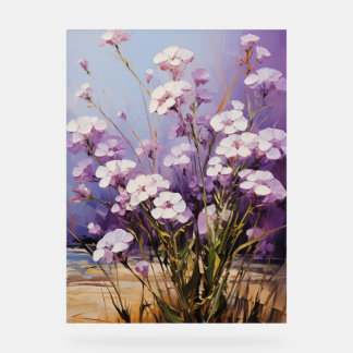 Alyssum doux - Impasto Floral