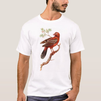 amandave op wit t-shirt