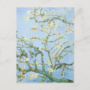 Amandelbloesem door Van Gogh Briefkaart