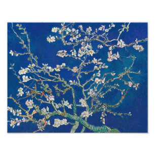 Amandelbloesem (Indigo) Van Gogh Foto Afdruk
