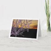 Amandelboom 's Nachts Kaart (Voorkant)