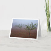 Amandelboomgaard op mistige ochtend kaart (Voorkant)