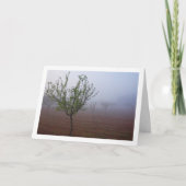 Amandelboomgaard op mistige ochtend kaart (Voorkant)